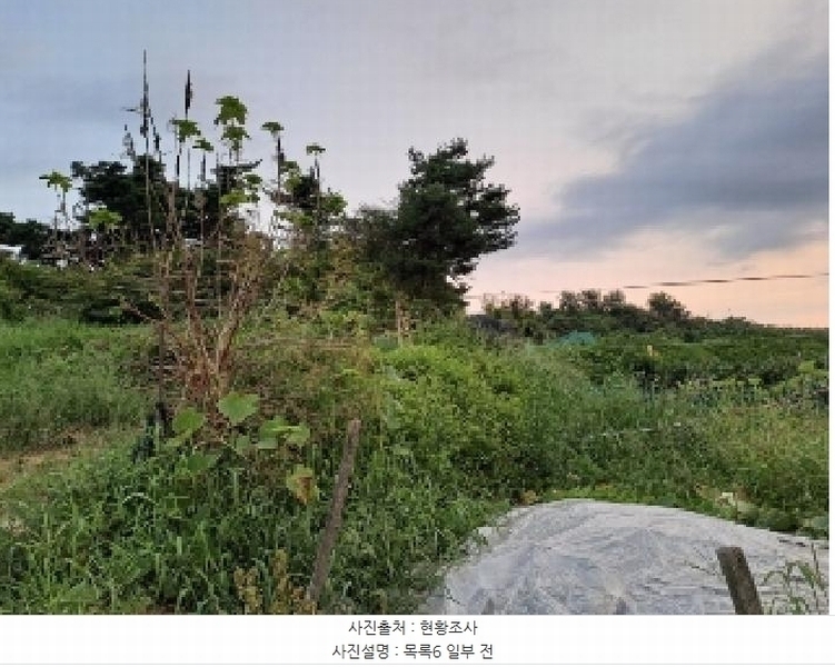2025타경51619 충청남도 당진시 순성면 나산리 111-4 농지 경매 이미지