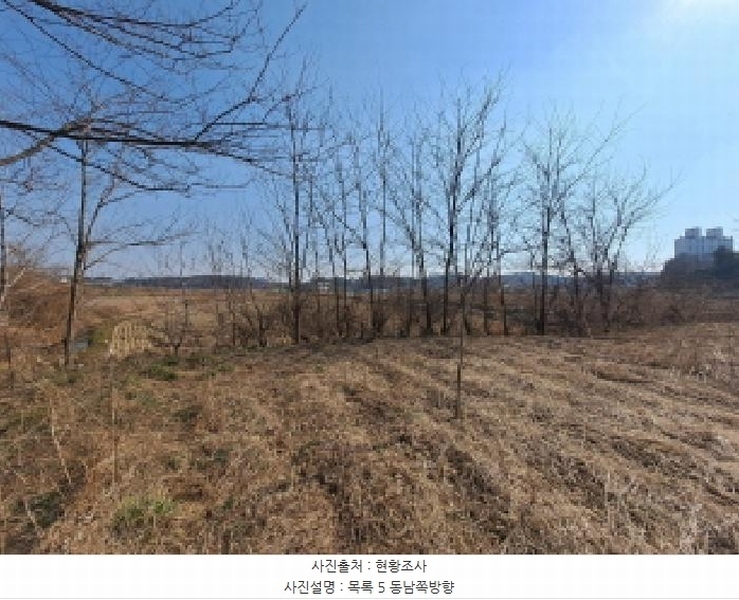 2025타경535 충청남도 당진시 송악읍 중흥리 421 농지 경매 이미지