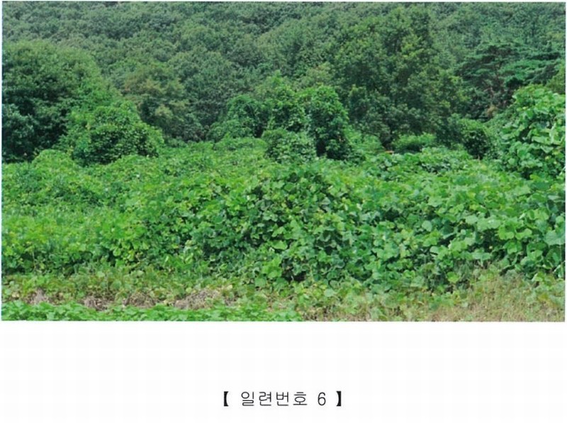 2022타경5329 전라남도 장성군 삼계면 부성리 산78-1 임야 경매 이미지