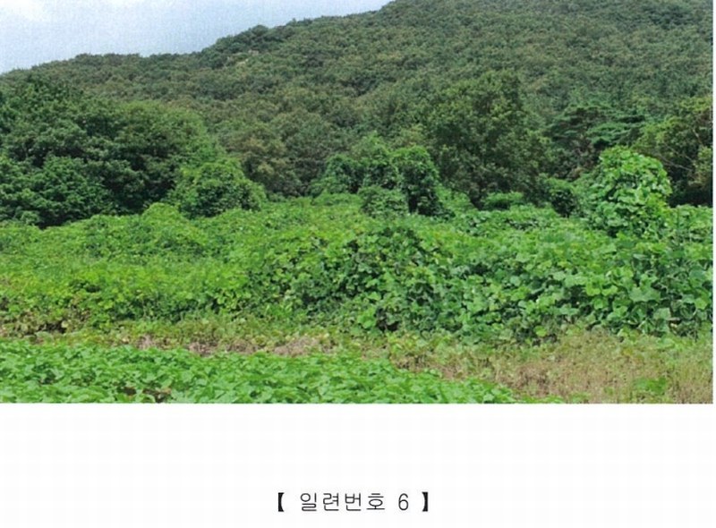 2022타경5329 전라남도 장성군 삼계면 부성리 산78-1 임야 경매 이미지