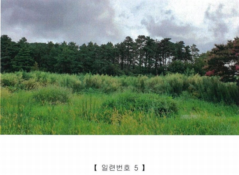 2022타경5329 전라남도 장성군 진원면 진원리 산12-1 임야 경매 이미지