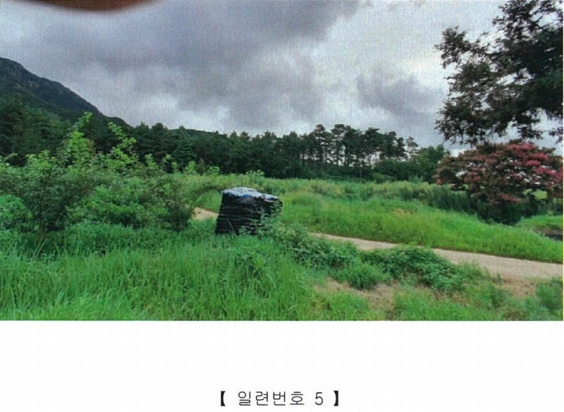 2022타경5329 전라남도 장성군 진원면 진원리 산12-1 임야 경매 이미지