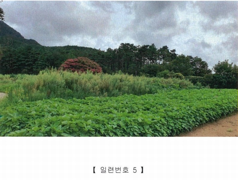 2022타경5329 전라남도 장성군 진원면 진원리 산12-1 임야 경매 이미지