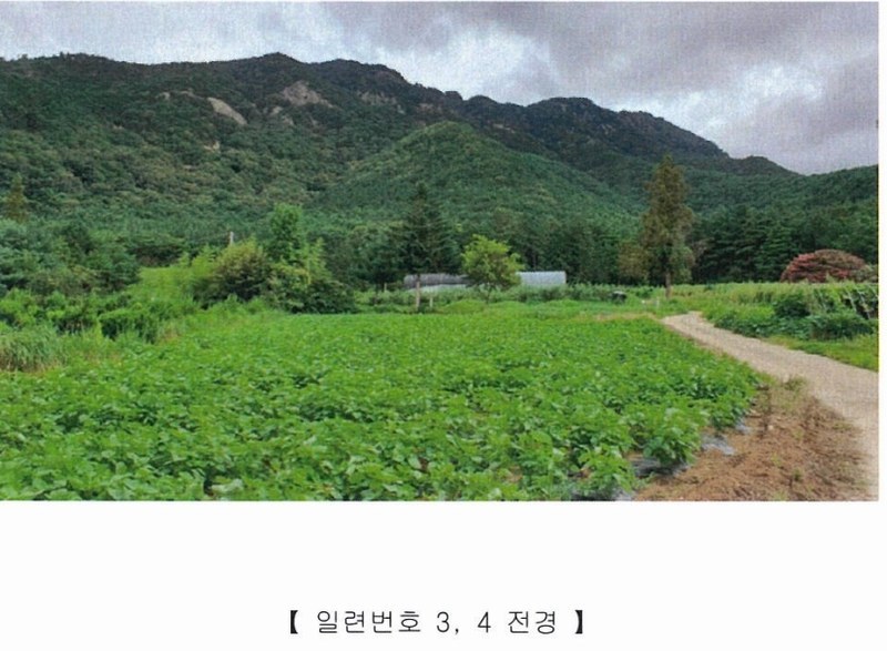 2022타경5329 전라남도 장성군 진원면 진원리 산12-1 임야 경매 이미지