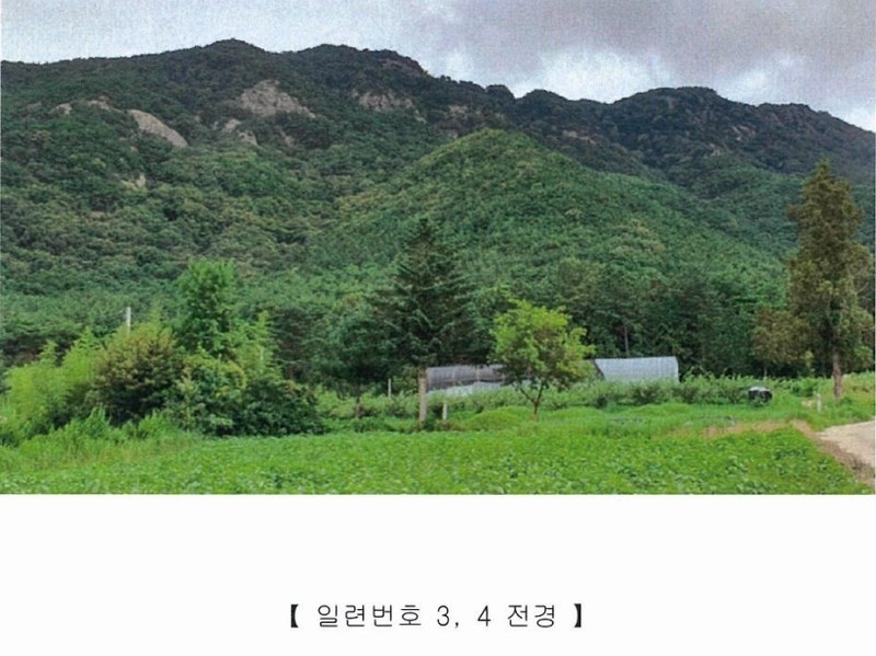 2022타경5329 전라남도 장성군 진원면 진원리 산12-1 임야 경매 이미지