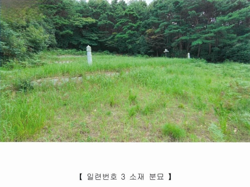 2022타경5329 전라남도 장성군 진원면 진원리 산12-1 임야 경매 이미지
