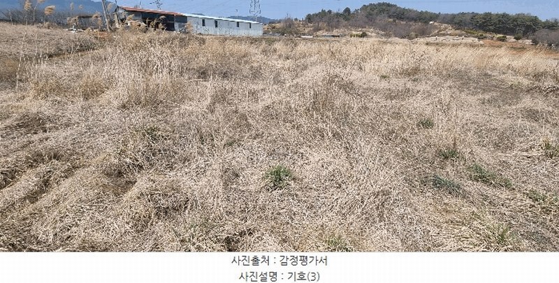 2025타경15595 충청남도 보령시 주교면 주교리 817 농지 경매 이미지
