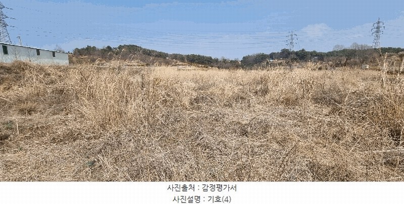 2025타경15595 충청남도 보령시 주교면 주교리 817 농지 경매 이미지