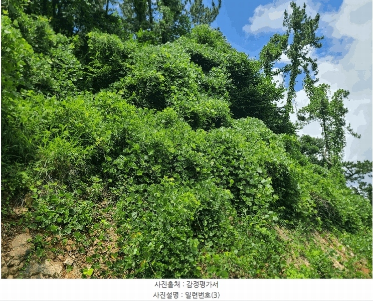 2025타경21640 경상남도 거제시 장목면 대금리 143 농지 경매 이미지