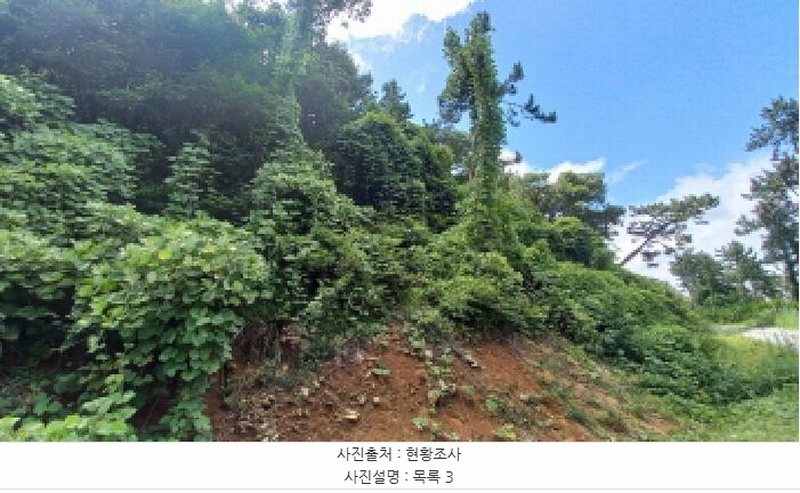 2025타경21640 경상남도 거제시 장목면 대금리 143 농지 경매 이미지