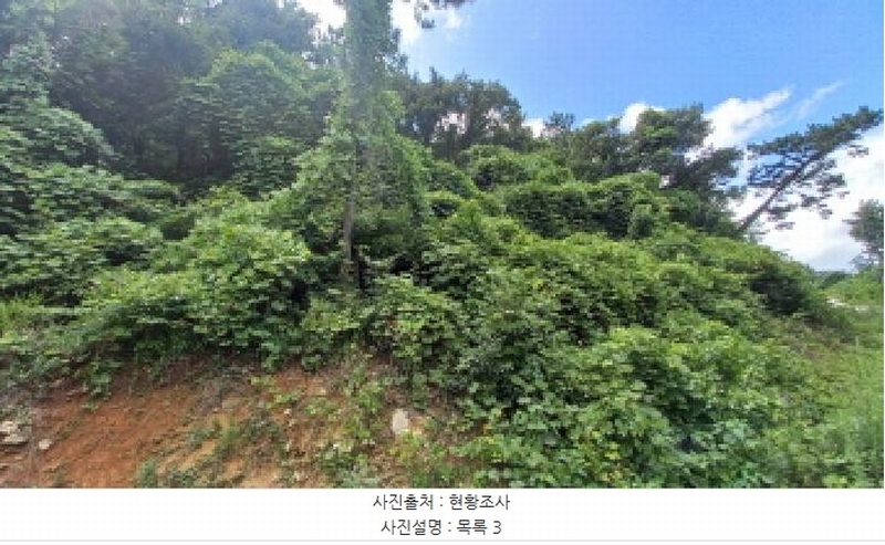 2025타경21640 경상남도 거제시 장목면 대금리 143 농지 경매 이미지