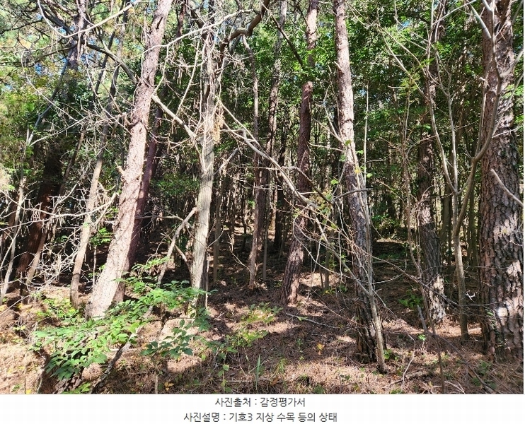 2024타경5850 경상남도 남해군 삼동면 지족리 산44-2 임야 경매 이미지