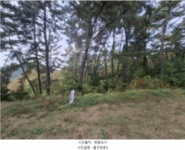 2024타경5850 경상남도 남해군 삼동면 지족리 산44-2 임야 경매 이미지