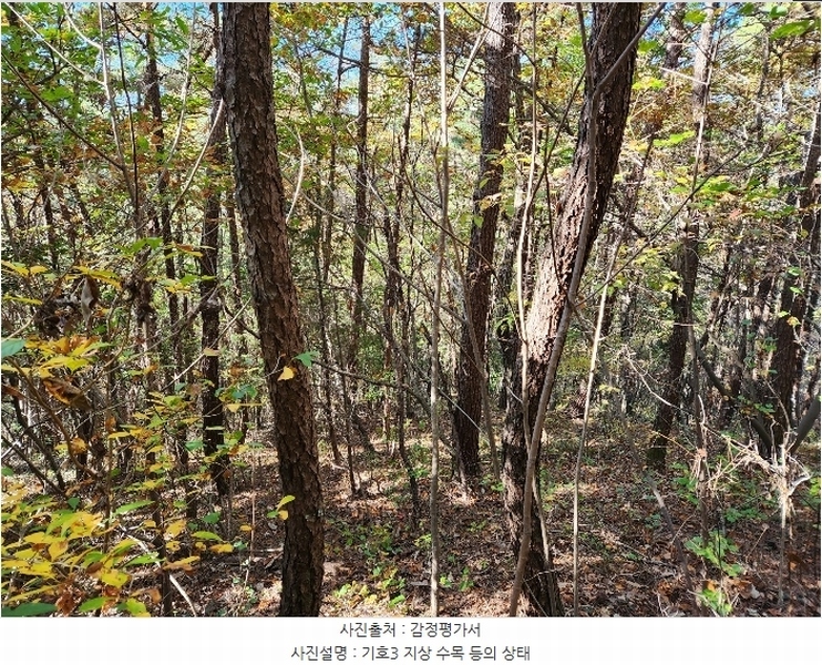 2024타경5850 경상남도 남해군 삼동면 지족리 산44-2 임야 경매 이미지