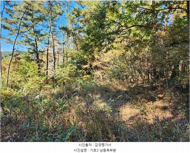 2024타경5850 경상남도 남해군 삼동면 지족리 산44-2 임야 경매 이미지