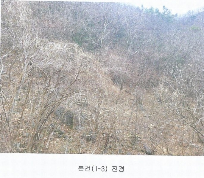 2025타경914 경상남도 양산시 원동면 원리 산126 임야 경매 이미지