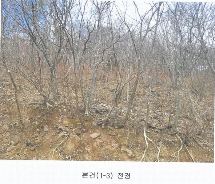2025타경914 경상남도 양산시 원동면 원리 산126 임야 경매 이미지