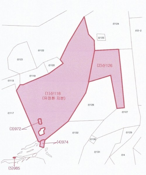 2025타경914 경상남도 양산시 원동면 원리 산126 임야 경매 이미지