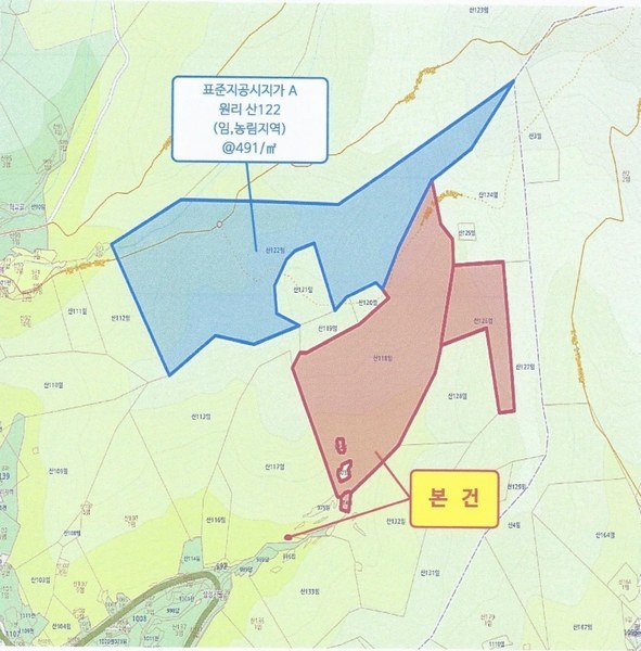 2025타경914 경상남도 양산시 원동면 원리 산126 임야 경매 이미지