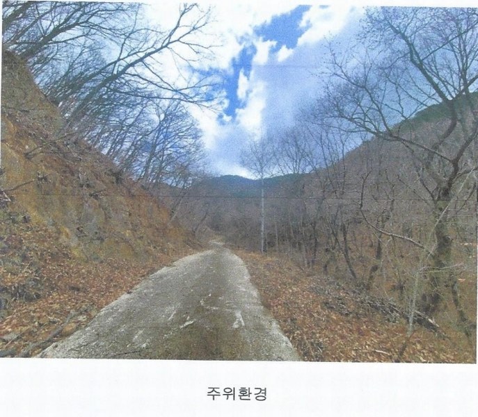 2025타경914 경상남도 양산시 원동면 원리 산126 임야 경매 이미지