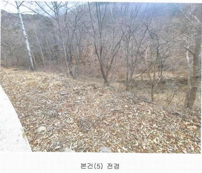 2025타경914 경상남도 양산시 원동면 원리 산126 임야 경매 이미지