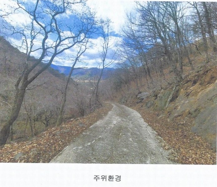 2025타경914 경상남도 양산시 원동면 원리 산126 임야 경매 이미지
