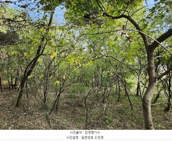 2025타경8815 경상북도 영천시 화산면 효정리 120 농지 경매 이미지