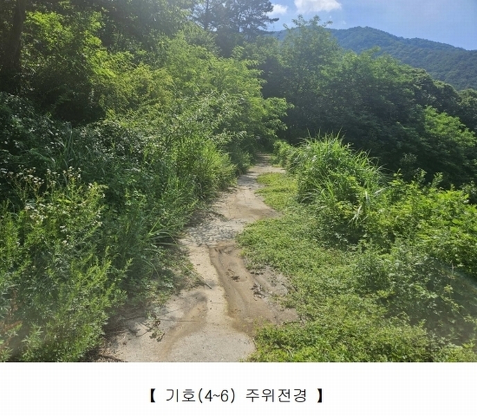 2025타경955 경상북도 청도군 매전면 하평리 1238 농지 경매 이미지