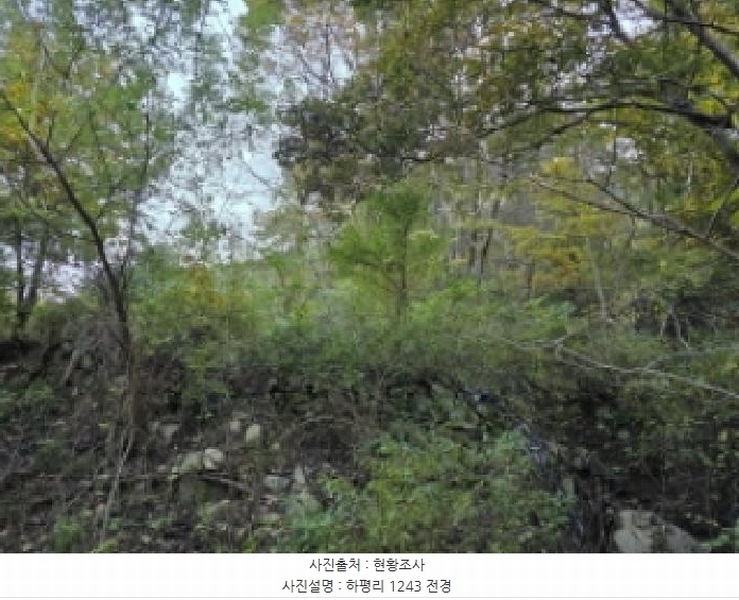 2025타경955 경상북도 청도군 매전면 하평리 1238 농지 경매 이미지