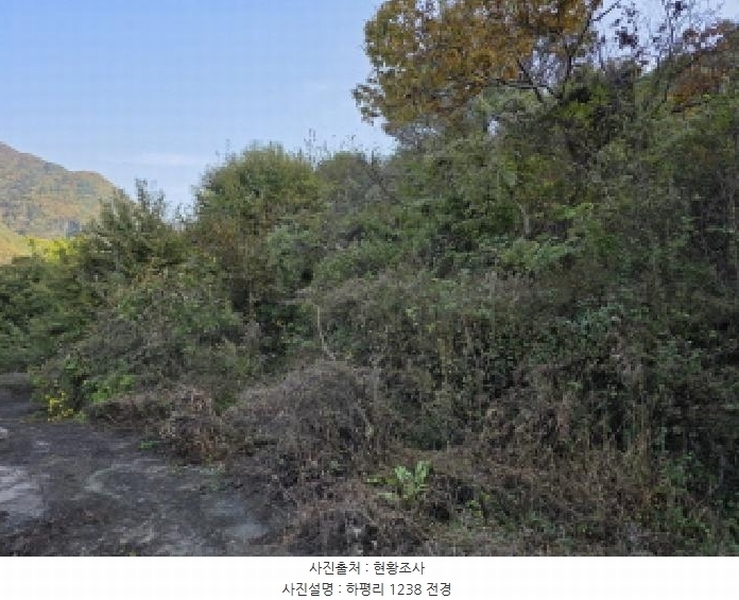 2025타경955 경상북도 청도군 매전면 하평리 1238 농지 경매 이미지