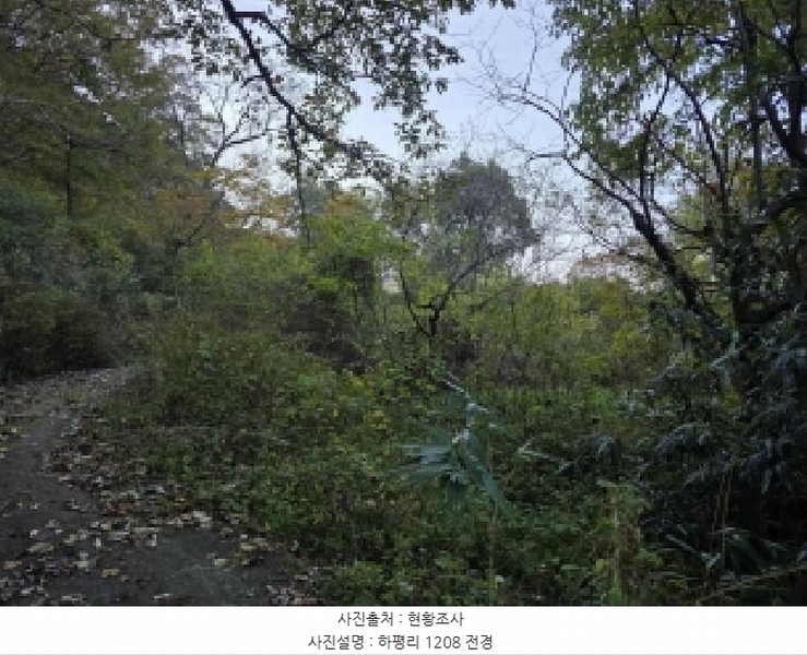 2025타경955 경상북도 청도군 매전면 하평리 1208 농지 경매 이미지