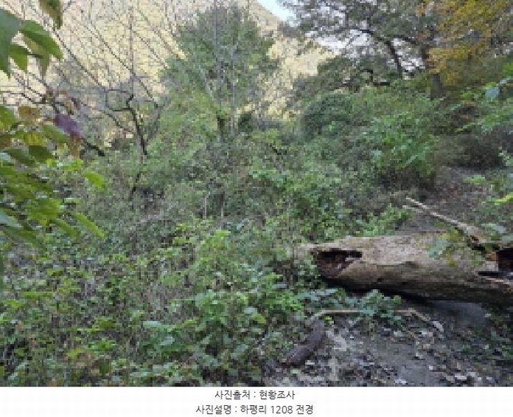 2025타경955 경상북도 청도군 매전면 하평리 1208 농지 경매 이미지