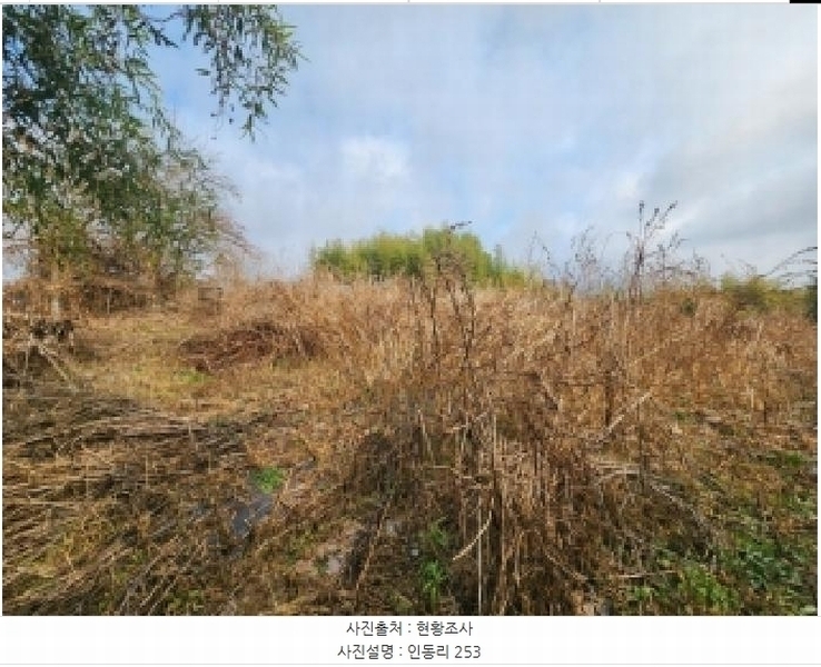 2025타경34463 전라남도 나주시 동강면 인동리 253 임야 경매 이미지