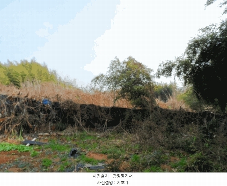 2025타경34463 전라남도 나주시 동강면 인동리 253 임야 경매 이미지