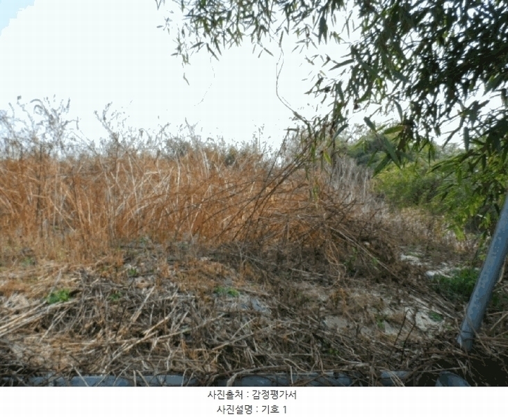 2025타경34463 전라남도 나주시 동강면 인동리 253 임야 경매 이미지