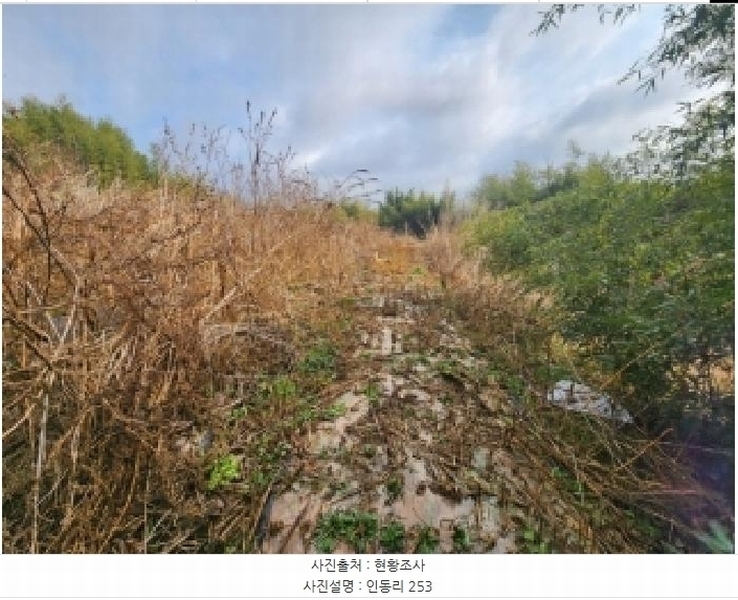 2025타경34463 전라남도 나주시 동강면 인동리 253 임야 경매 이미지