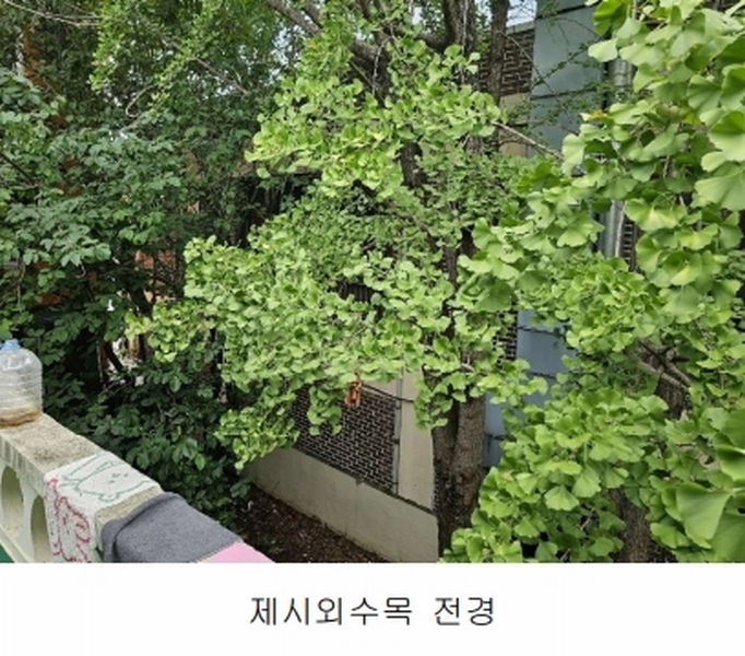 2025타경34078 광주광역시 남구 서동 7-2 근린주택 경매 이미지