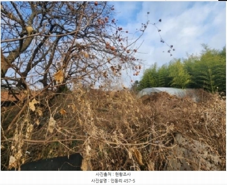 2025타경34463 전라남도 나주시 동강면 인동리 457-5 농지 경매 이미지