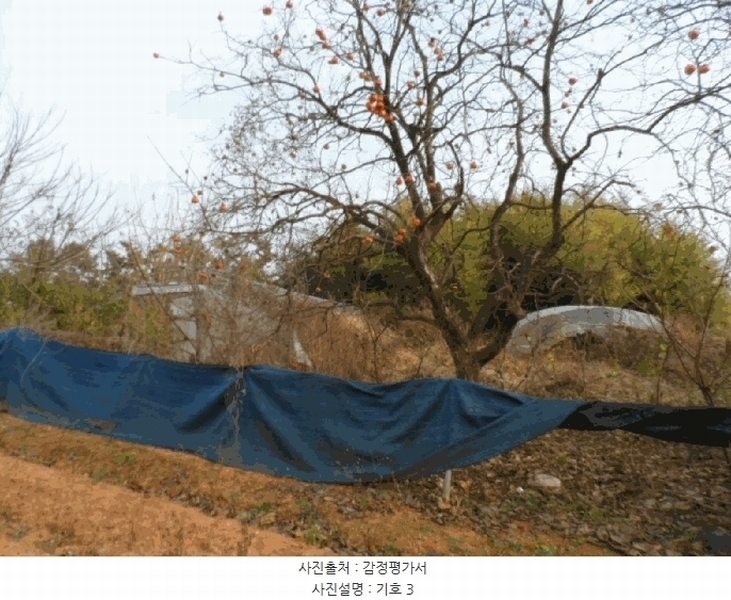 2025타경34463 전라남도 나주시 동강면 인동리 457-5 농지 경매 이미지