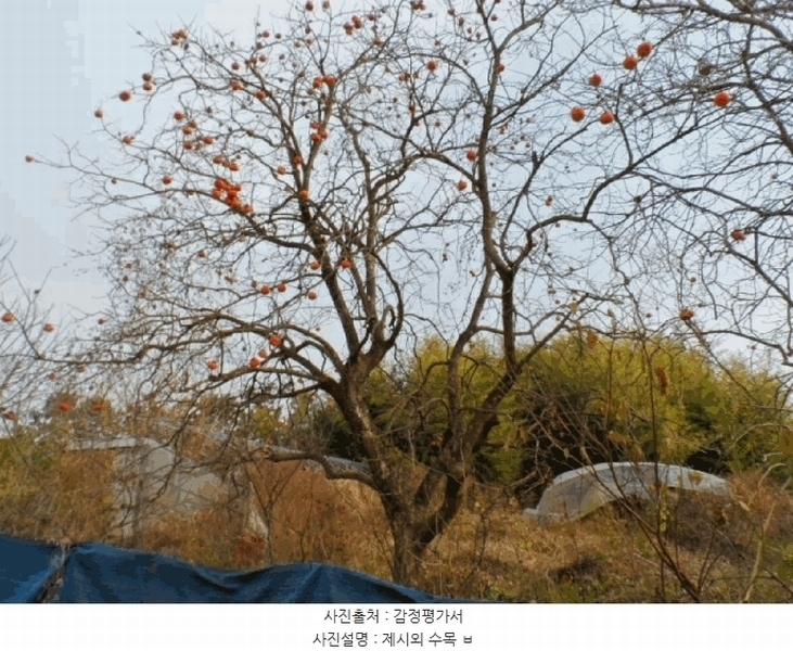 2025타경34463 전라남도 나주시 동강면 인동리 457-5 농지 경매 이미지