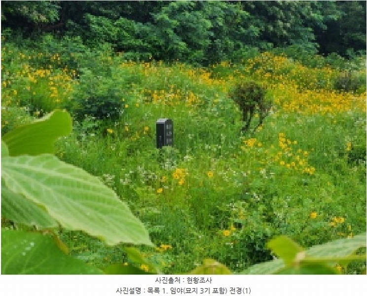 2025타경56217 경기도 화성시 남양읍 안석리 산82 임야 경매 이미지