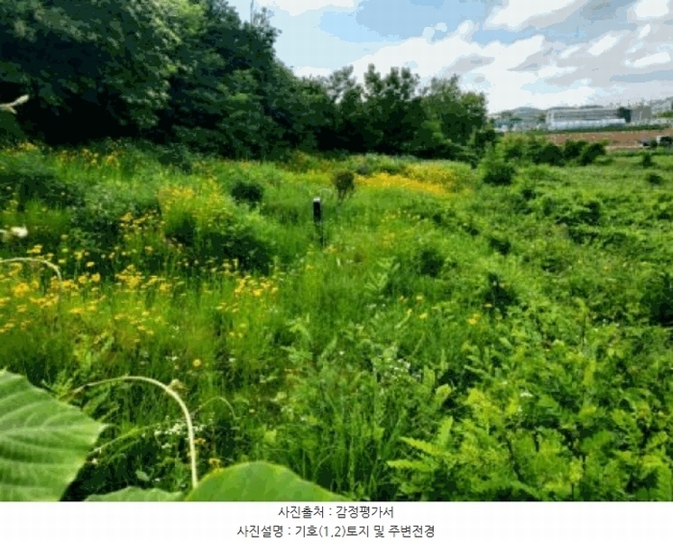 2025타경56217 경기도 화성시 남양읍 안석리 산82 임야 경매 이미지