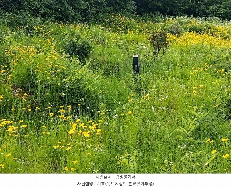 2025타경56217 경기도 화성시 남양읍 안석리 산82 임야 경매 이미지