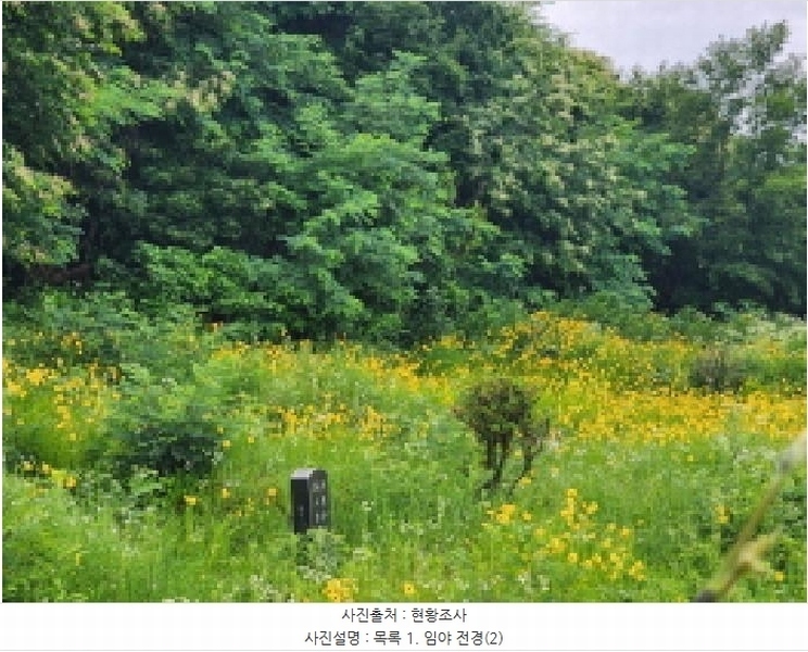 2025타경56217 경기도 화성시 남양읍 안석리 산82 임야 경매 이미지