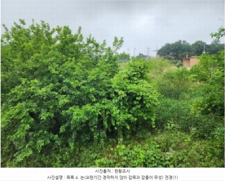 2025타경56217 경기도 화성시 남양읍 안석리 254-1 농지 경매 이미지