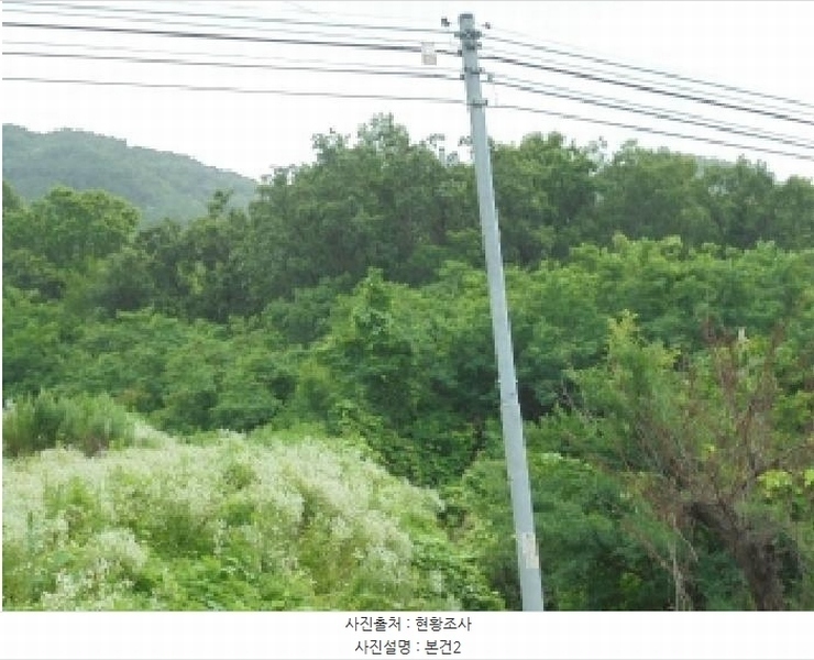 2025타경2708 충청북도 괴산군 감물면 구월리 155 농지 경매 이미지