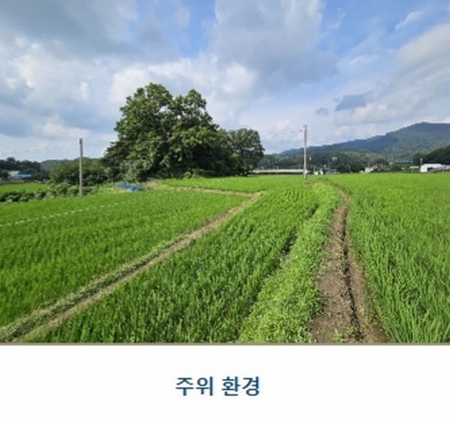2023타경21193 충청남도 공주시 계룡면 구왕리 298-3 농지 경매 이미지