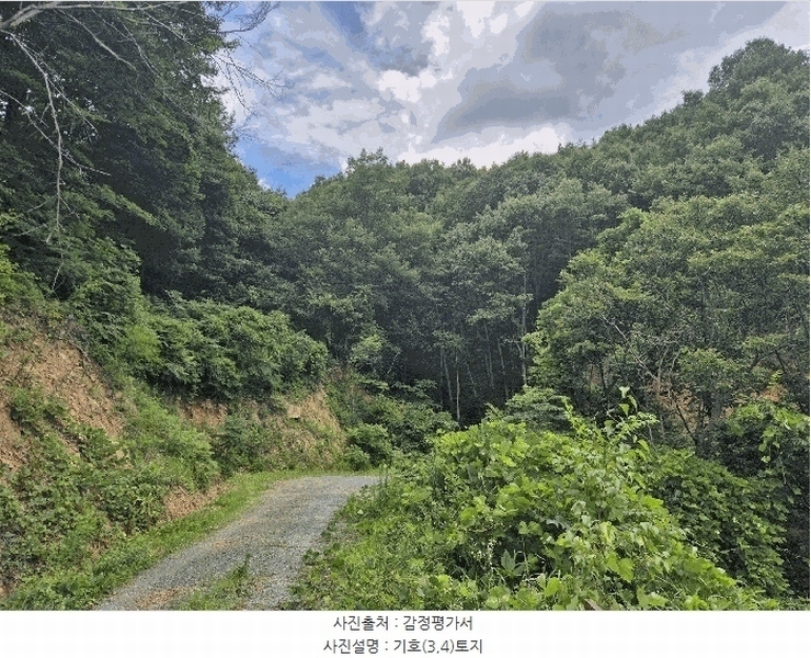 2025타경8486 경상북도 경산시 하양읍 은호리 산18 임야 경매 이미지