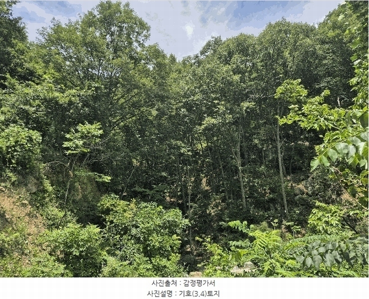 2025타경8486 경상북도 경산시 하양읍 은호리 산18 임야 경매 이미지
