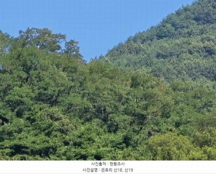 2025타경8486 경상북도 경산시 하양읍 은호리 산18 임야 경매 이미지
